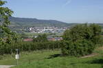 Blick vom Tuniberg bei Gottenheim zum Kaiserstuhl mit dem Ort Bötzingen, Sept.2023