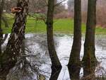 'Land unter!', heisst es auf einer Wiese im Rheiner Stadtteil Bentlage, 22.02.2025