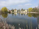 Dorfteich in Lissa, Lkr. Nordsachsen (12.04.2025)
