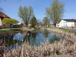 Dorfteich in Petersroda, Anhalt-Bitterfeld (12.04.2025)
