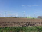 Windpark bei Großwirschleben, Salzlandkreis (14.04.2025)