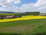 Leinebergland bei Wittenburg, Lkr. Hildesheim (19.04.2025)