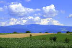 Blick vom Marchhügel in der Rheinebene zum 1284m hohen Schauinslandmassiv, dem Hausberg von Freiburg, Juli 2025