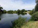 Dorfweiher in Dalchau bei Möckern, Jerichower Land (05.07.2025)