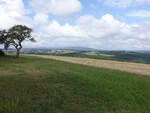Felder bei Schneppenbach im südlichen Hunsrück (28.07.2025)
