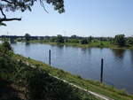 Elbe bei Hohenwarthe, Lkr. Jerichower Land (11.08.2025)