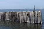 Eine Hafenbefestigung in Veere, einer Gemeinde in der niederländischen Provinz Zeeland auf der ehemaligen Insel Walcheren am 25.05.2007.