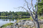 Schärengartenlandschaft auf Gunnarsö südlich von Oskarshamn. Aufnahme: 19. August 2025.