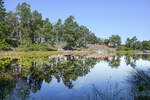 Schärengartenlandschaft auf Gunnarsö südlich von Oskarshamn. Aufnahme: 19. August 2025.