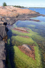 Schärenküste mit Felsen und Algen auf Gunnarsö südlich von Oskarshamn. Aufnahme: 19. August 2025.