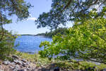 An der Südspitze des Naturreservat Gränsö im scwedischen Småland. Aufnahme: 20. August 2025.