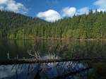 Der Schwarze See (Čern jezero) im Bhmerwald, grter Gletschersee dort, dessen Wasserspiegel 1006 Meter hoch liegt.