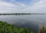 Thaya oder Dyje Stausee bei Dolni Vestonice (31.05.2019)