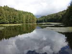 See bei Troskovice im Naturschutzgebietes Český ráj (28.09.2019)