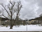 Blick von der Hotelanlage in den Kurpark am 28.