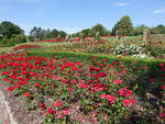 Lidice, Rosarium Garten des Friedens und der Freundschaft (28.06.2020)