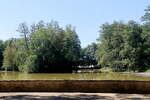 Im Park von Franzensbad am Schwanenteich am 29. Juli 2026.