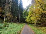 Weg zur Felsenburg Falkenstein am 24. Oktober 2021 im Gebiet Jetrichovice u Decína.