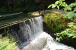 An dieser Stelle wird das Wasser der Kamenice in der Stillen Klamm angestaut, 31.05.08