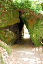 Die Felsen am Wanderweg zur Stillen Klamm in Hrensko sind von Flechten und Moosen bedeckt.