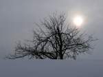 Die Sonne kmpft sich durch den wolkenverhangenen Himmel an einem Winternachmittag im Erzgebirge, 17.03.2010  
