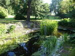 Novy Dvur, kleiner Teich im Arboretum (02.08.2020)