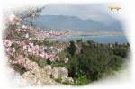 Trkei, Alanya im Frhling.  06.03.2011