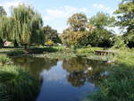 See im Schlosspark von Szerencs, Nordungarn (06.09.2018)