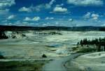 Sieht die Landschaft im Yellowstone Nationalpark hier nicht aus wie eine Giftküche? - Juli 1998