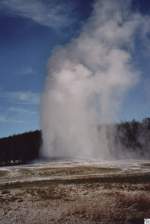 Im nordwestlichen Wyoming liegt der Yellowstone Nationalpark.