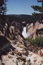 Im nordwestlichen Wyoming liegt der Yellowstone Nationalpark.