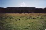 Im nordwestlichen Wyoming liegt der Yellowstone Nationalpark.