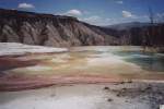 Im nordwestlichen Wyoming liegt der Yellowstone Nationalpark.