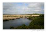 The Lizard - Naturreservat Brays Cot. Heidelandschaft in Cornwall, England.