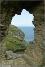 Diese Felsffnung an der Kste zwischen Tintagel und Boscatle nennt ich  Ladies Window .
12. Mai 2011