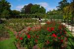 Rosengarten in Schlopark des Blenheim Palace (26.09.2009)