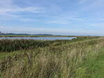 Ecclesbourne Reservoir bei Fairlight, East Sussex (03.09.2023)