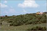 Picknicken gehrt(e) zu einer der Lieblingsbeschftigungen der Briten wie hier im Dartmoor. Scan eines Dias vom Sommer 1977.