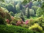 Landschaftspark von Stourhead House, Wiltshire (11.05.2024)