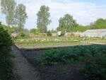 Thorncombe, Kräutergarten der Forde Abbey, Dorset (11.05.2024)