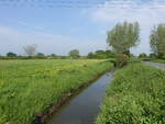 Kleiner Kanal an der Law Line bei Muchelney, Sommerset (12.05.2024)