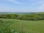 Aussicht von der A352 auf das Cerne Valley, Dorset (12.05.2024)