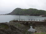 Hillsborough Hill bei Ilfracombe, North Devon (13.05.2024)