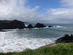 Felsen an der Steilküste am Hartland Quay Hotel (14.05.2024)