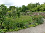 Kitchengarden der Buckland Abbey, West Devon (15.05.2024)