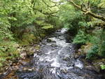 River Plym bei Shaugh Prior, West Devon (15.05.2024)