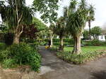 Palmen im Royal Avenue Garden in Dartmouth, Devon (16.05.2024)