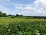 Wiesen bei Farleigh Hungerford, Somerset (17.05.2024)