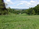 Landschaftspark beim Herrenhaus Prior Park in Bath (17.05.2024)