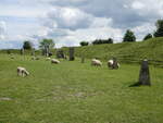 Neolithischer Steinkreis von Avebury, das Henge wurde 2600 bis ca.